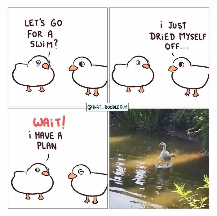 This Artist Turns Viral Animal Photos Into Hilarious Comics, And Here Are The 70 Best Ones This Artist Turns Viral Animal Photos Into Hilarious Comics, And Here Are The 70 Best Ones