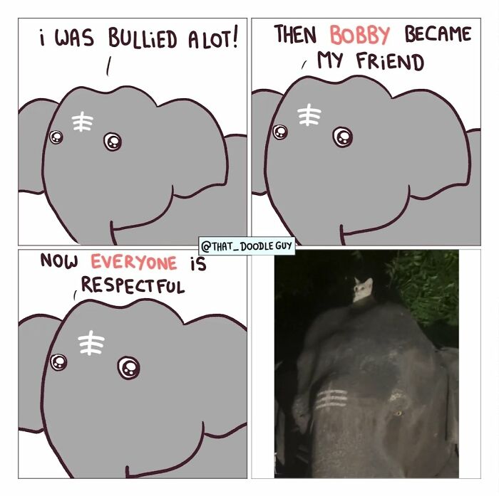 This Artist Turns Viral Animal Photos Into Hilarious Comics, And Here Are The 70 Best Ones This Artist Turns Viral Animal Photos Into Hilarious Comics, And Here Are The 70 Best Ones