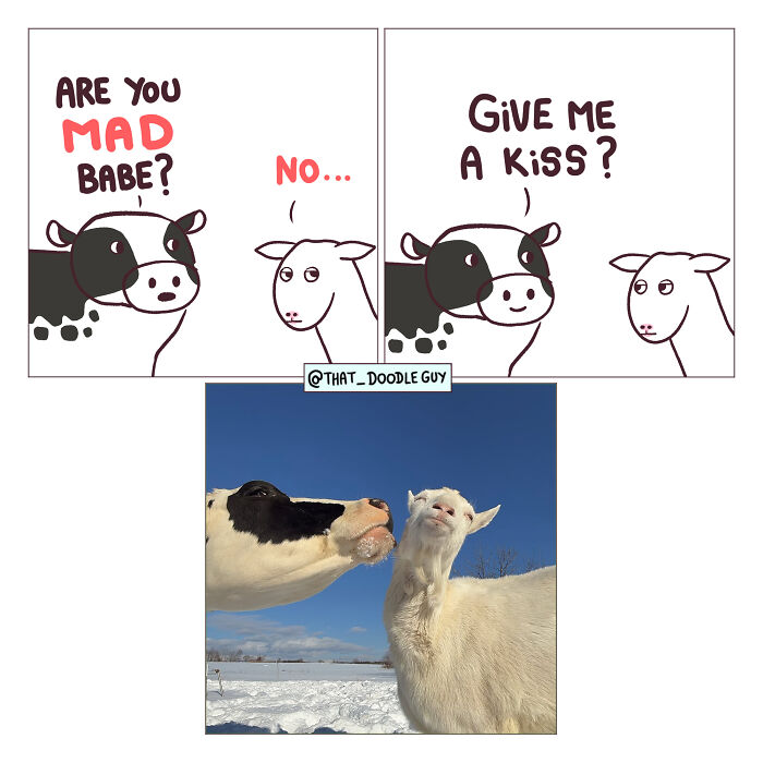 This Artist Turns Viral Animal Photos Into Hilarious Comics, And Here Are The 70 Best Ones This Artist Turns Viral Animal Photos Into Hilarious Comics, And Here Are The 70 Best Ones