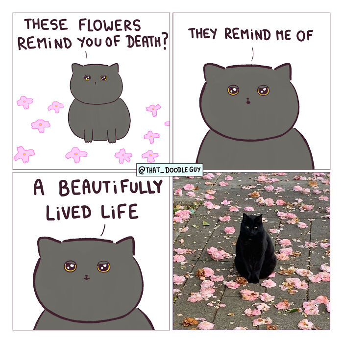 This Artist Turns Viral Animal Photos Into Hilarious Comics, And Here Are The 70 Best Ones This Artist Turns Viral Animal Photos Into Hilarious Comics, And Here Are The 70 Best Ones