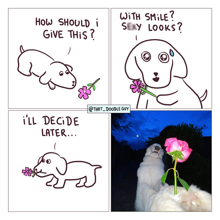 This Artist Turns Viral Animal Photos Into Hilarious Comics, And Here Are The 70 Best Ones This Artist Turns Viral Animal Photos Into Hilarious Comics, And Here Are The 70 Best Ones