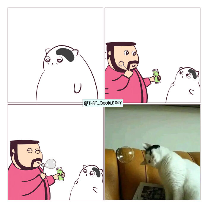 This Artist Turns Viral Animal Photos Into Hilarious Comics, And Here Are The 70 Best Ones This Artist Turns Viral Animal Photos Into Hilarious Comics, And Here Are The 70 Best Ones