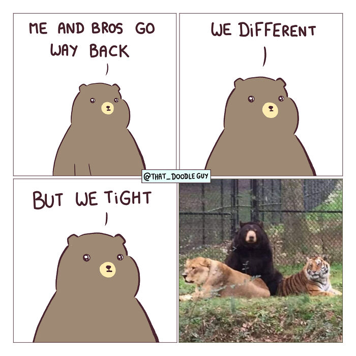 This Artist Turns Viral Animal Photos Into Hilarious Comics, And Here Are The 70 Best Ones This Artist Turns Viral Animal Photos Into Hilarious Comics, And Here Are The 70 Best Ones