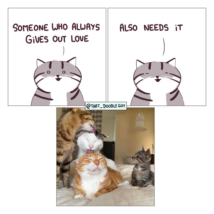 This Artist Turns Viral Animal Photos Into Hilarious Comics, And Here Are The 70 Best Ones This Artist Turns Viral Animal Photos Into Hilarious Comics, And Here Are The 70 Best Ones