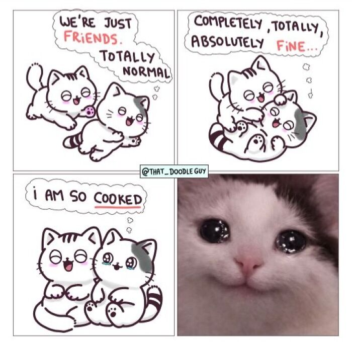 This Artist Turns Viral Animal Photos Into Hilarious Comics, And Here Are The 70 Best Ones This Artist Turns Viral Animal Photos Into Hilarious Comics, And Here Are The 70 Best Ones