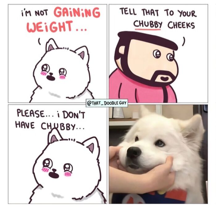 This Artist Turns Viral Animal Photos Into Hilarious Comics, And Here Are The 70 Best Ones This Artist Turns Viral Animal Photos Into Hilarious Comics, And Here Are The 70 Best Ones
