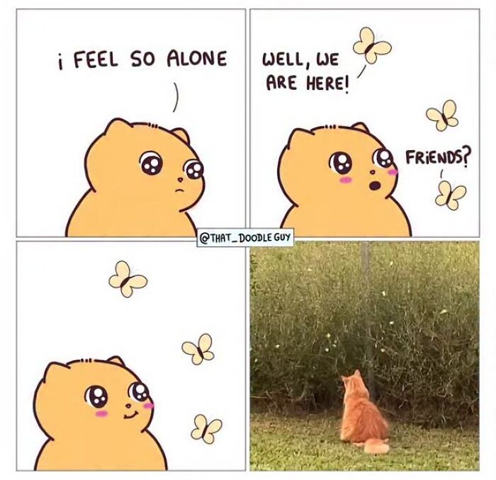 This Artist Turns Viral Animal Photos Into Hilarious Comics, And Here Are The 70 Best Ones This Artist Turns Viral Animal Photos Into Hilarious Comics, And Here Are The 70 Best Ones