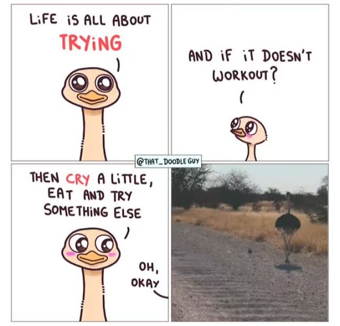 This Artist Turns Viral Animal Photos Into Hilarious Comics, And Here Are The 70 Best Ones This Artist Turns Viral Animal Photos Into Hilarious Comics, And Here Are The 70 Best Ones