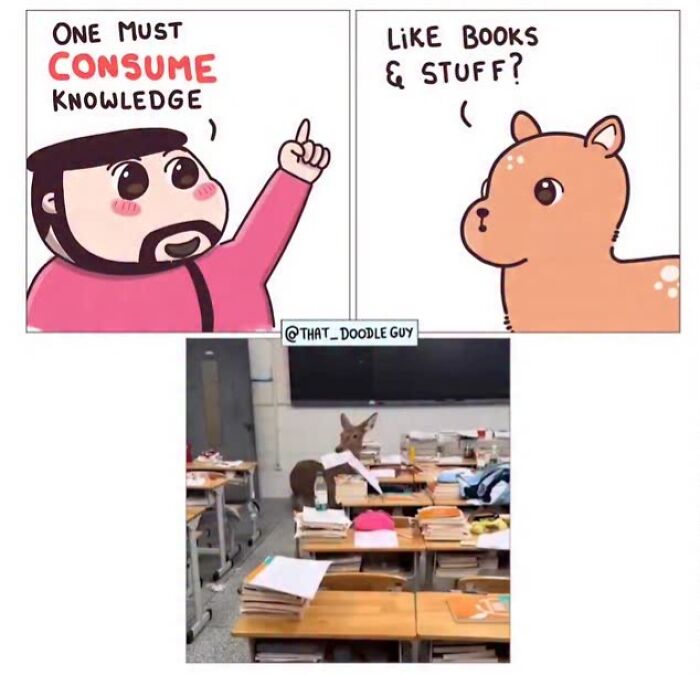 This Artist Turns Viral Animal Photos Into Hilarious Comics, And Here Are The 70 Best Ones This Artist Turns Viral Animal Photos Into Hilarious Comics, And Here Are The 70 Best Ones