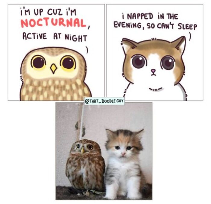 This Artist Turns Viral Animal Photos Into Hilarious Comics, And Here Are The 70 Best Ones This Artist Turns Viral Animal Photos Into Hilarious Comics, And Here Are The 70 Best Ones