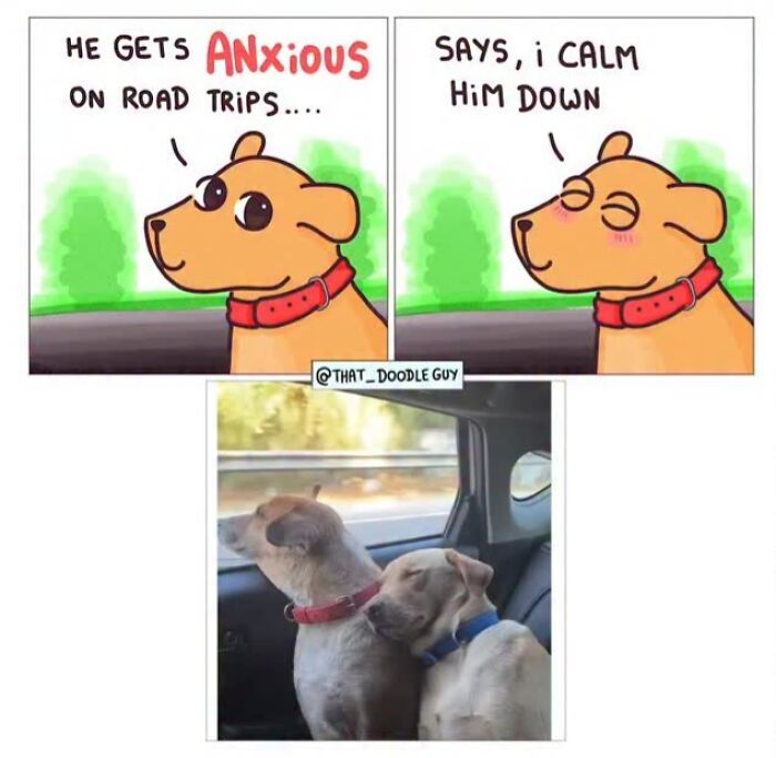 This Artist Turns Viral Animal Photos Into Hilarious Comics, And Here Are The 70 Best Ones This Artist Turns Viral Animal Photos Into Hilarious Comics, And Here Are The 70 Best Ones