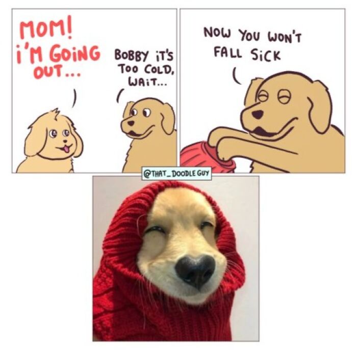 This Artist Turns Viral Animal Photos Into Hilarious Comics, And Here Are The 70 Best Ones This Artist Turns Viral Animal Photos Into Hilarious Comics, And Here Are The 70 Best Ones