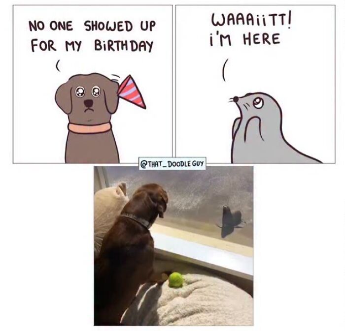 This Artist Turns Viral Animal Photos Into Hilarious Comics, And Here Are The 70 Best Ones This Artist Turns Viral Animal Photos Into Hilarious Comics, And Here Are The 70 Best Ones