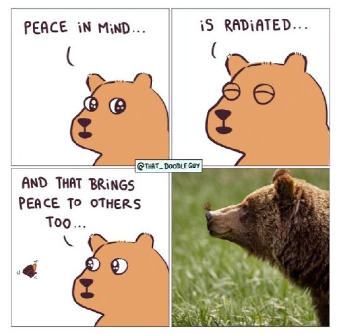 This Artist Turns Viral Animal Photos Into Hilarious Comics, And Here Are The 70 Best Ones This Artist Turns Viral Animal Photos Into Hilarious Comics, And Here Are The 70 Best Ones