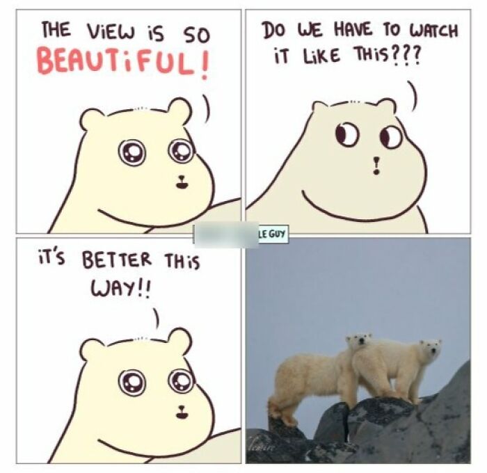 This Artist Turns Viral Animal Photos Into Hilarious Comics, And Here Are The 70 Best Ones This Artist Turns Viral Animal Photos Into Hilarious Comics, And Here Are The 70 Best Ones