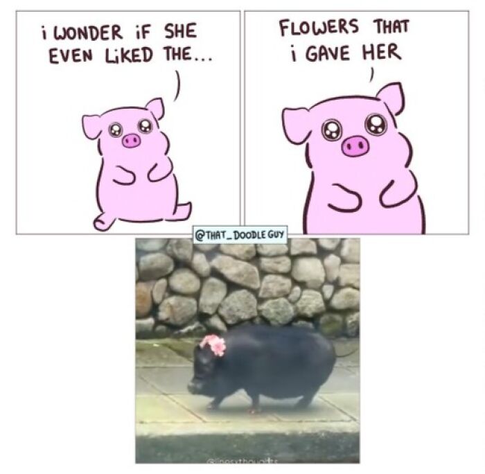 This Artist Turns Viral Animal Photos Into Hilarious Comics, And Here Are The 70 Best Ones This Artist Turns Viral Animal Photos Into Hilarious Comics, And Here Are The 70 Best Ones