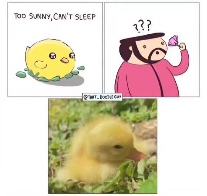 This Artist Turns Viral Animal Photos Into Hilarious Comics, And Here Are The 70 Best Ones This Artist Turns Viral Animal Photos Into Hilarious Comics, And Here Are The 70 Best Ones