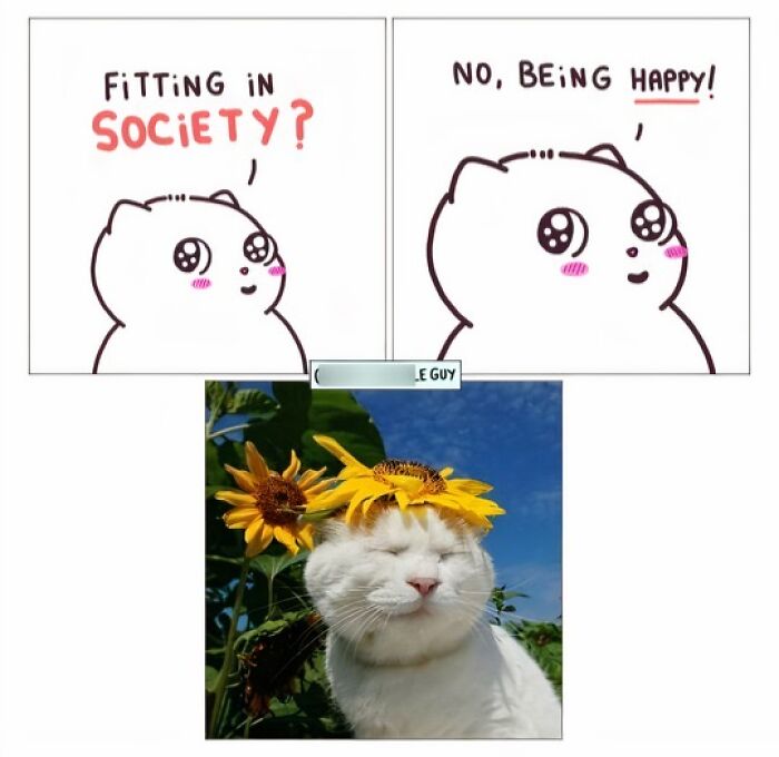 This Artist Turns Viral Animal Photos Into Hilarious Comics, And Here Are The 70 Best Ones This Artist Turns Viral Animal Photos Into Hilarious Comics, And Here Are The 70 Best Ones