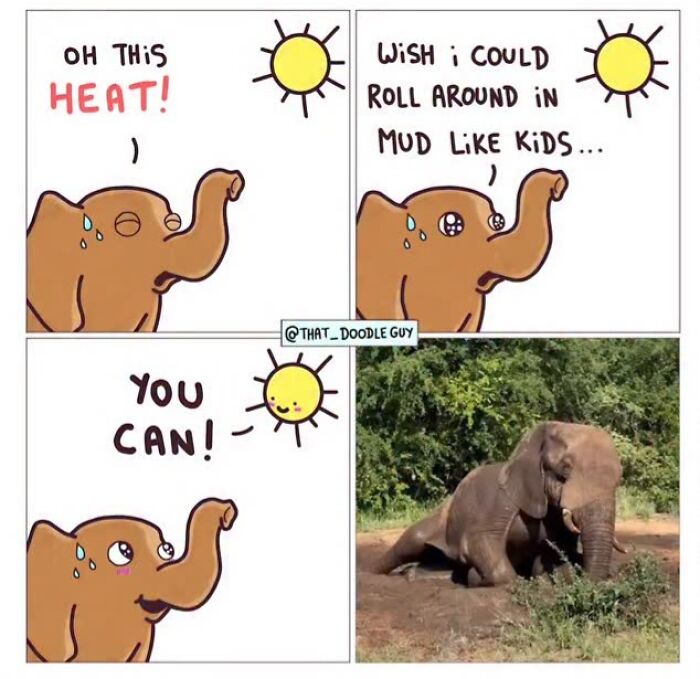 This Artist Turns Viral Animal Photos Into Hilarious Comics, And Here Are The 70 Best Ones This Artist Turns Viral Animal Photos Into Hilarious Comics, And Here Are The 70 Best Ones