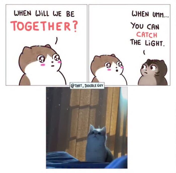 This Artist Turns Viral Animal Photos Into Hilarious Comics, And Here Are The 70 Best Ones This Artist Turns Viral Animal Photos Into Hilarious Comics, And Here Are The 70 Best Ones