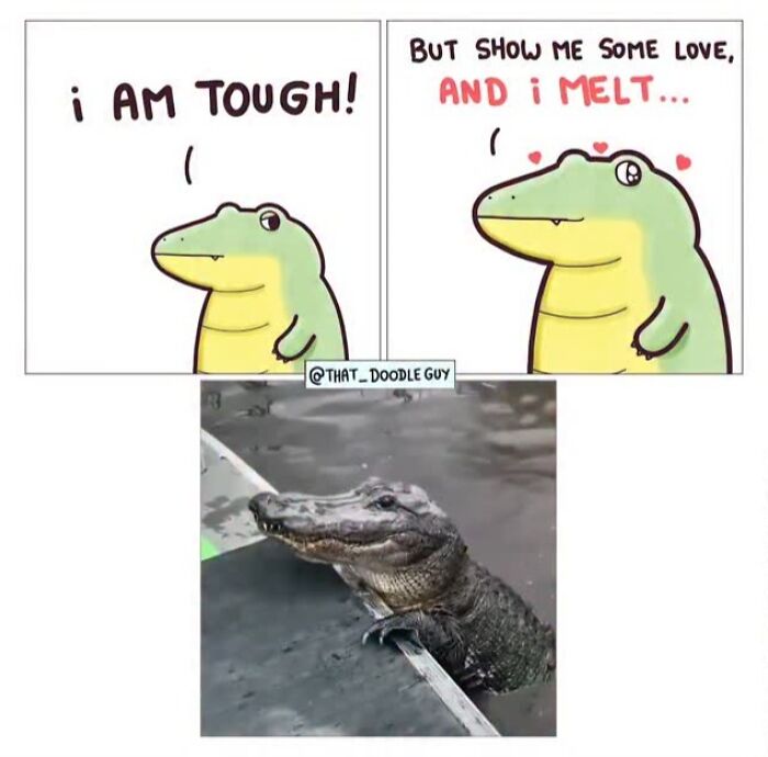 This Artist Turns Viral Animal Photos Into Hilarious Comics, And Here Are The 70 Best Ones This Artist Turns Viral Animal Photos Into Hilarious Comics, And Here Are The 70 Best Ones