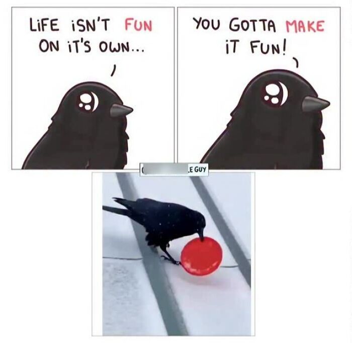 This Artist Turns Viral Animal Photos Into Hilarious Comics, And Here Are The 70 Best Ones This Artist Turns Viral Animal Photos Into Hilarious Comics, And Here Are The 70 Best Ones