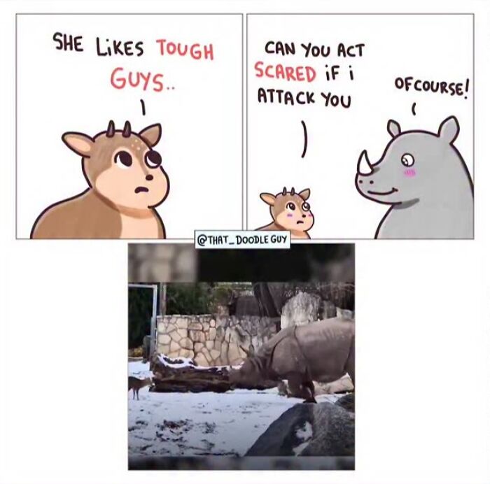 This Artist Turns Viral Animal Photos Into Hilarious Comics, And Here Are The 70 Best Ones This Artist Turns Viral Animal Photos Into Hilarious Comics, And Here Are The 70 Best Ones