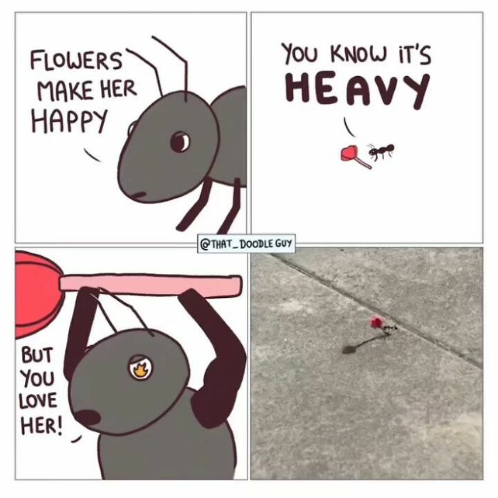 This Artist Turns Viral Animal Photos Into Hilarious Comics, And Here Are The 70 Best Ones This Artist Turns Viral Animal Photos Into Hilarious Comics, And Here Are The 70 Best Ones