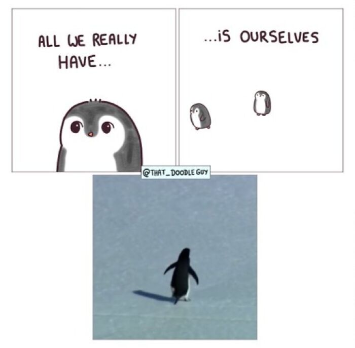 This Artist Turns Viral Animal Photos Into Hilarious Comics, And Here Are The 70 Best Ones This Artist Turns Viral Animal Photos Into Hilarious Comics, And Here Are The 70 Best Ones