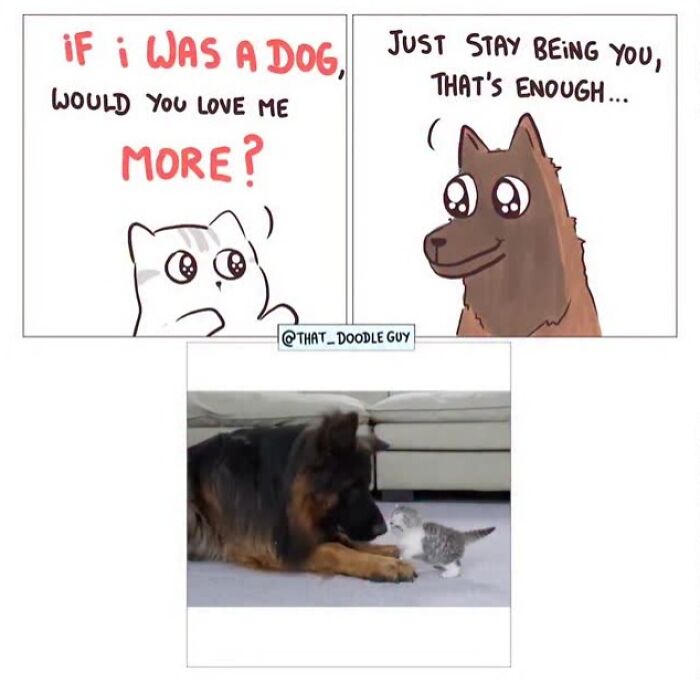 This Artist Turns Viral Animal Photos Into Hilarious Comics, And Here Are The 70 Best Ones This Artist Turns Viral Animal Photos Into Hilarious Comics, And Here Are The 70 Best Ones