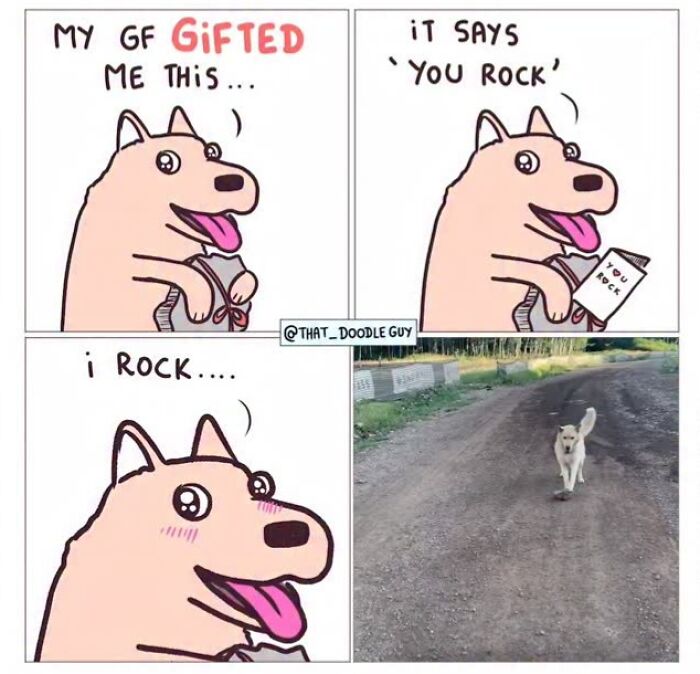 This Artist Turns Viral Animal Photos Into Hilarious Comics, And Here Are The 70 Best Ones This Artist Turns Viral Animal Photos Into Hilarious Comics, And Here Are The 70 Best Ones