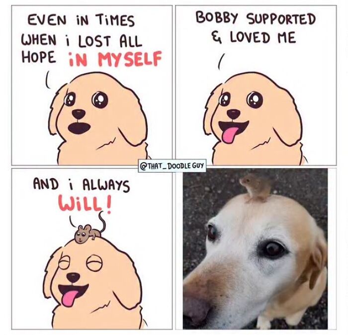 This Artist Turns Viral Animal Photos Into Hilarious Comics, And Here Are The 70 Best Ones This Artist Turns Viral Animal Photos Into Hilarious Comics, And Here Are The 70 Best Ones