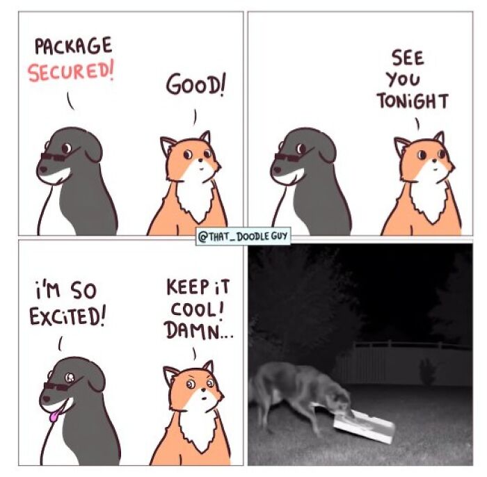 This Artist Turns Viral Animal Photos Into Hilarious Comics, And Here Are The 70 Best Ones This Artist Turns Viral Animal Photos Into Hilarious Comics, And Here Are The 70 Best Ones