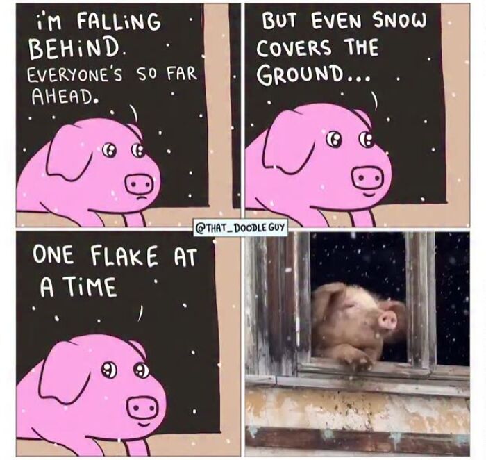 This Artist Turns Viral Animal Photos Into Hilarious Comics, And Here Are The 70 Best Ones This Artist Turns Viral Animal Photos Into Hilarious Comics, And Here Are The 70 Best Ones