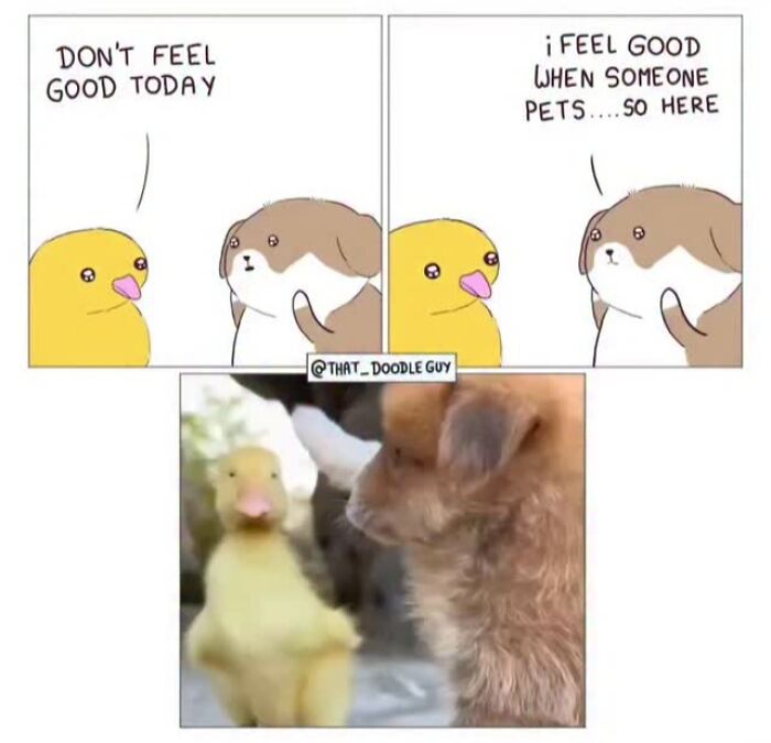 This Artist Turns Viral Animal Photos Into Hilarious Comics, And Here Are The 70 Best Ones This Artist Turns Viral Animal Photos Into Hilarious Comics, And Here Are The 70 Best Ones