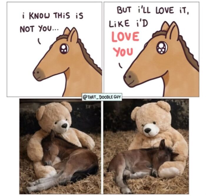 This Artist Turns Viral Animal Photos Into Hilarious Comics, And Here Are The 70 Best Ones This Artist Turns Viral Animal Photos Into Hilarious Comics, And Here Are The 70 Best Ones