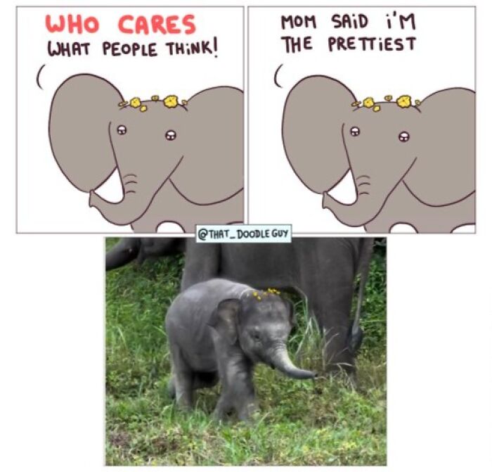 This Artist Turns Viral Animal Photos Into Hilarious Comics, And Here Are The 70 Best Ones This Artist Turns Viral Animal Photos Into Hilarious Comics, And Here Are The 70 Best Ones