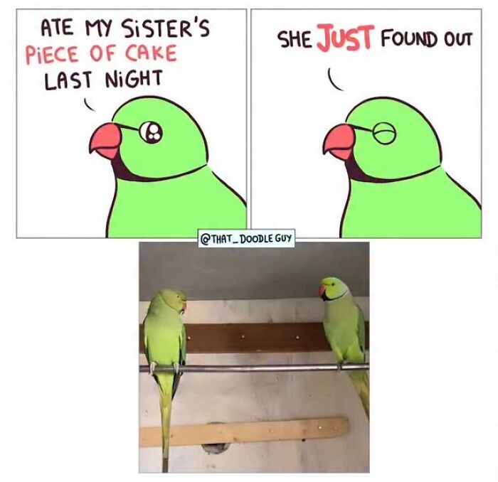 This Artist Turns Viral Animal Photos Into Hilarious Comics, And Here Are The 70 Best Ones This Artist Turns Viral Animal Photos Into Hilarious Comics, And Here Are The 70 Best Ones