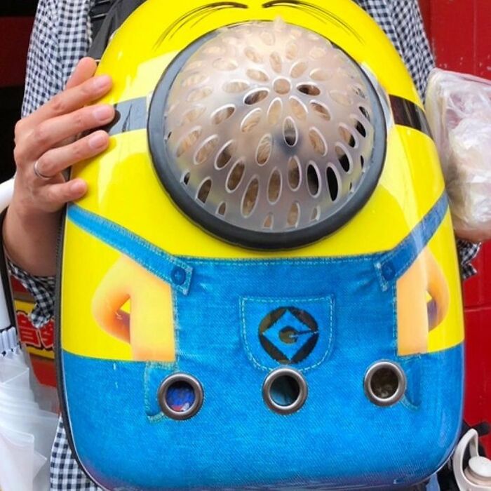 95 Adorable Dogs Riding In Bags As Shared By This Viral Page (New Pics)