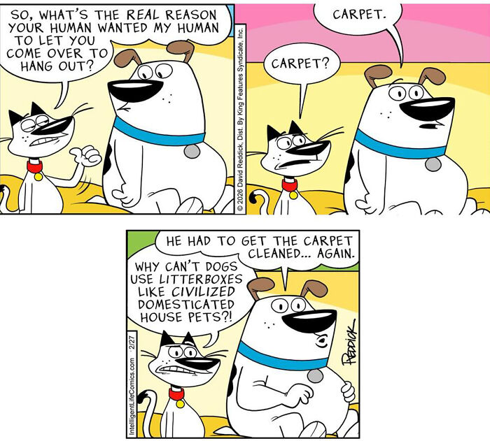 What It Feels Like To Live In Today’s World, According To 30 Comics By Cartoonist David Reddick