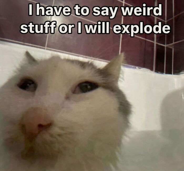 52 Weird Memes That Somehow Get Better The More You Look At Them