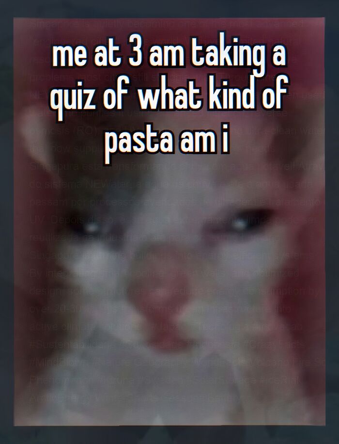 52 Weird Memes That Somehow Get Better The More You Look At Them