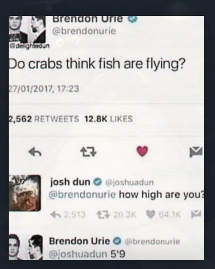 52 Weird Memes That Somehow Get Better The More You Look At Them