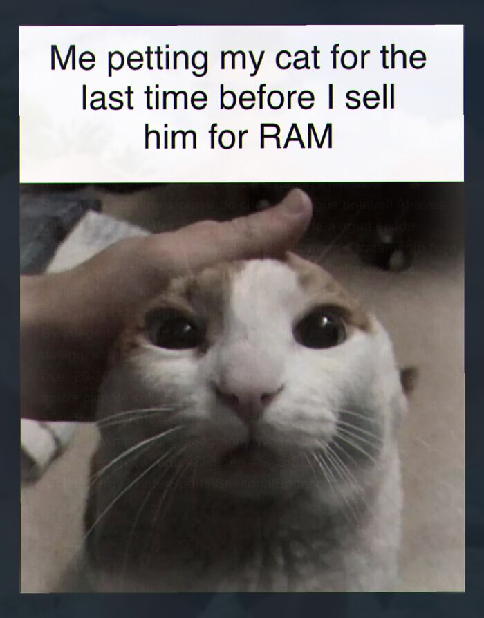 52 Weird Memes That Somehow Get Better The More You Look At Them