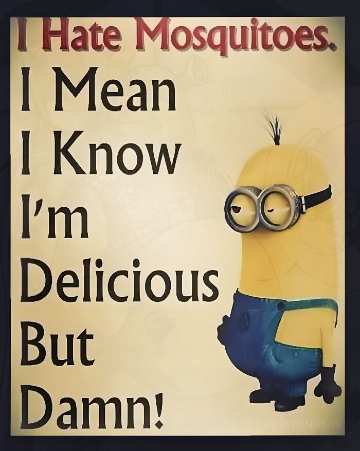 52 Weird Memes That Somehow Get Better The More You Look At Them