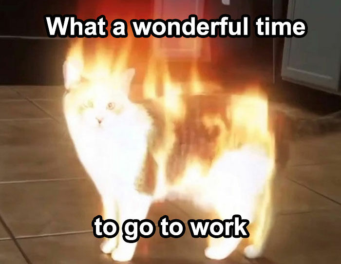 “You Know Just Who To Blame”: 62 Funny Memes About The Summer Heat Nobody Asked For