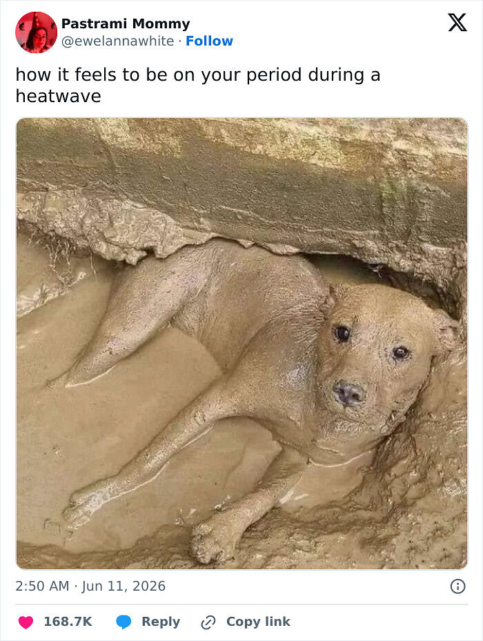 “You Know Just Who To Blame”: 62 Funny Memes About The Summer Heat Nobody Asked For