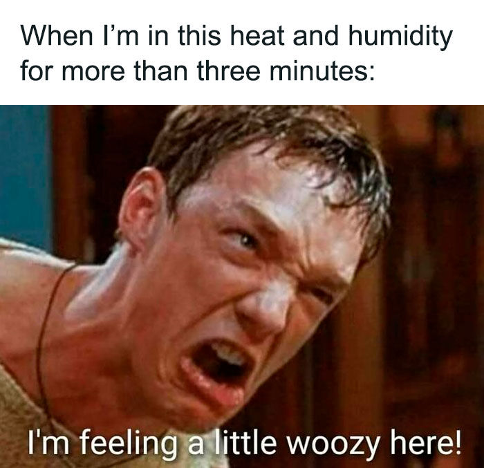 “You Know Just Who To Blame”: 62 Funny Memes About The Summer Heat Nobody Asked For