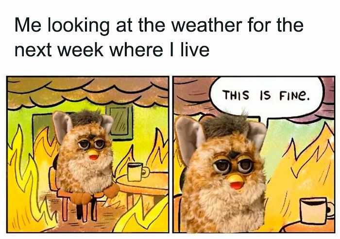 “You Know Just Who To Blame”: 62 Funny Memes About The Summer Heat Nobody Asked For