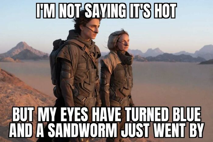“You Know Just Who To Blame”: 62 Funny Memes About The Summer Heat Nobody Asked For
